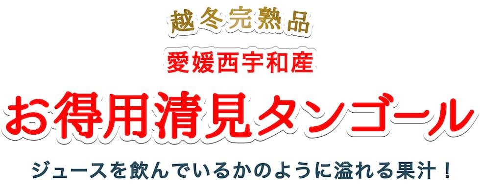 お得用清見タンゴール