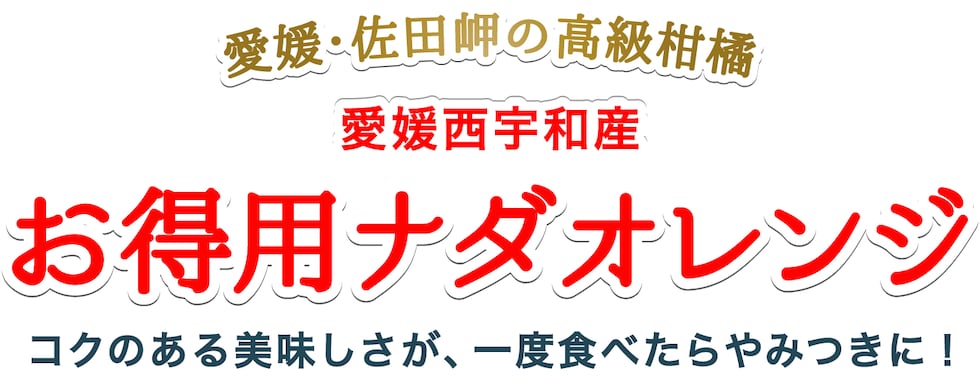 お得用ナダオレンジ