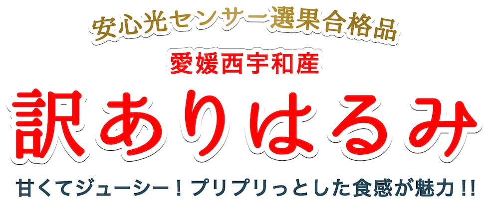 訳あり愛媛はるみ