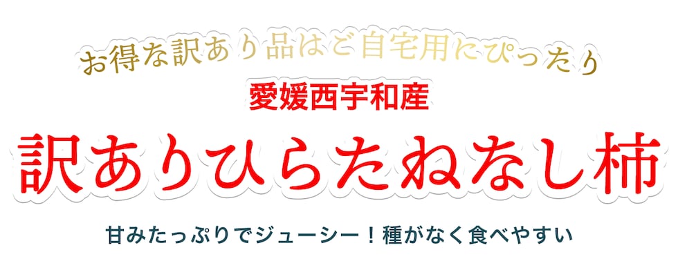 訳ありひらたねなし柿
