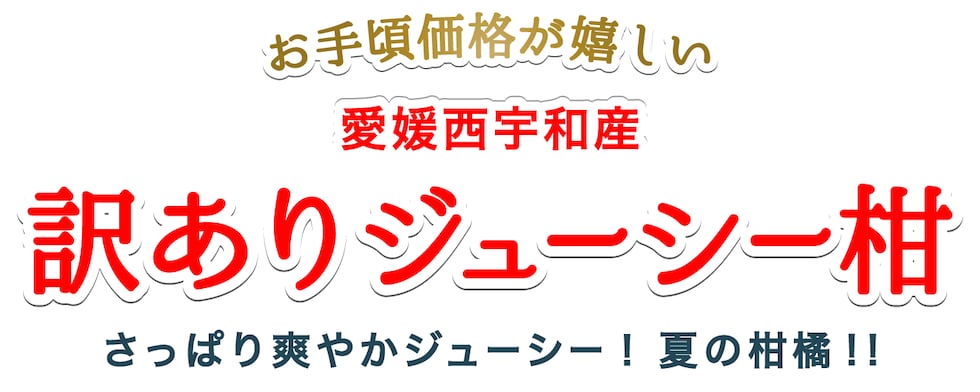 訳ありジューシー柑