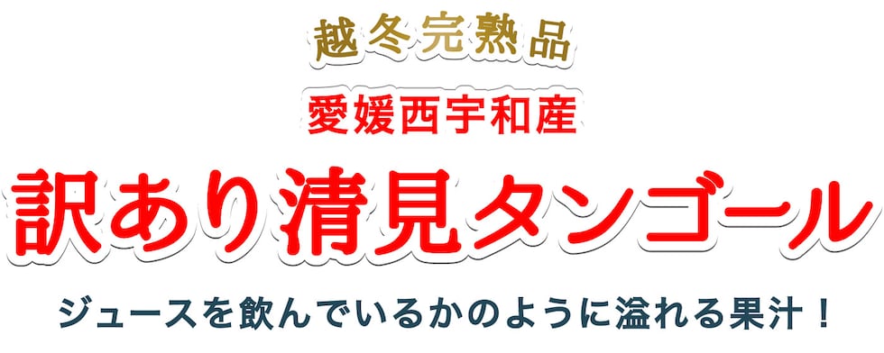 訳あり清見タンゴール