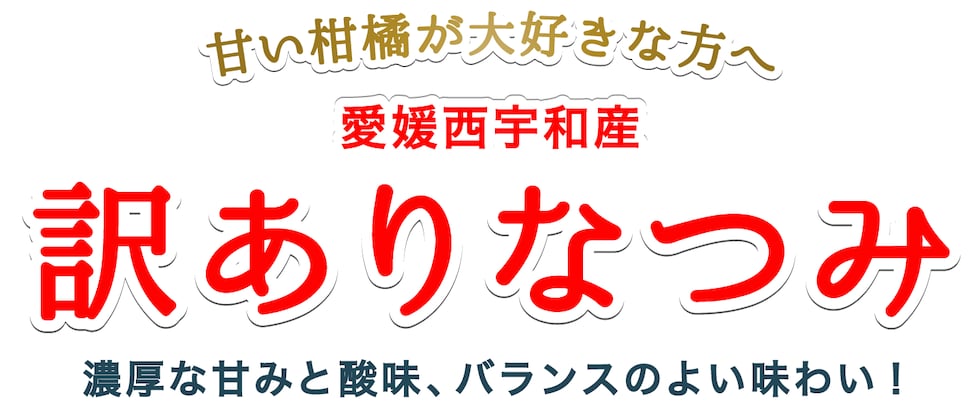 訳あり用なつみ