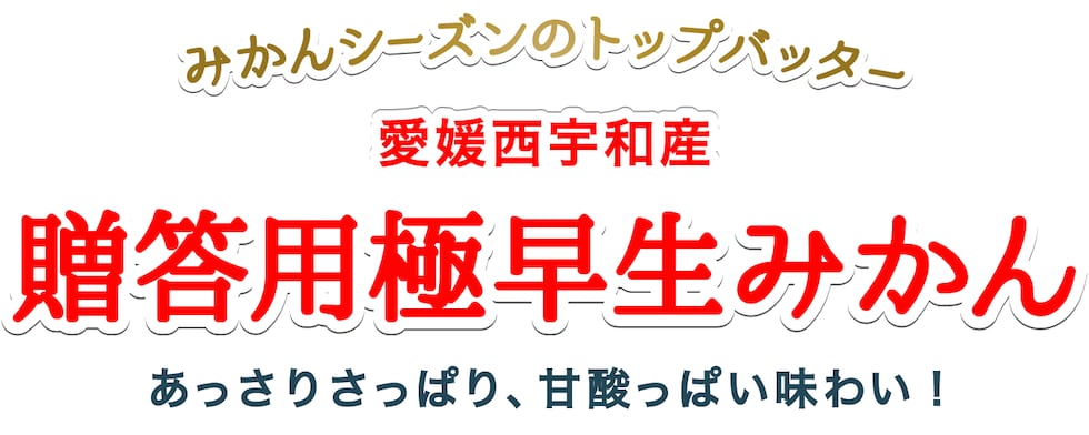 贈答極早生みかん