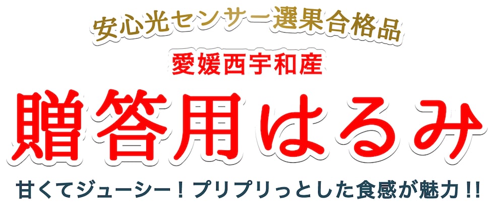 贈答用愛媛はるみ