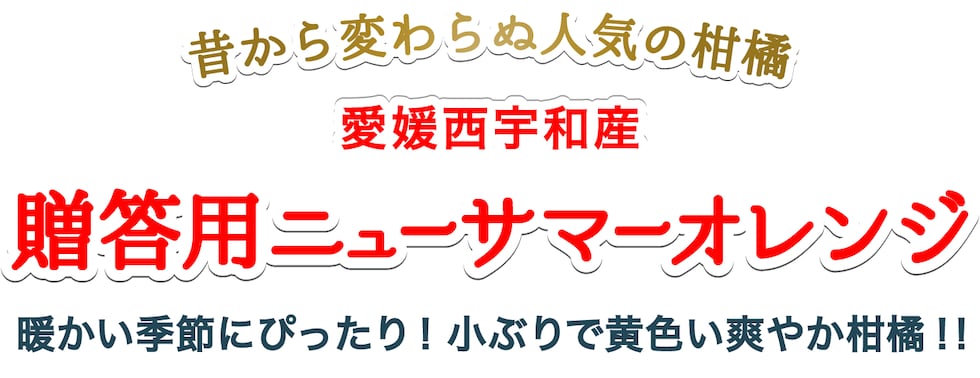 贈答小夏