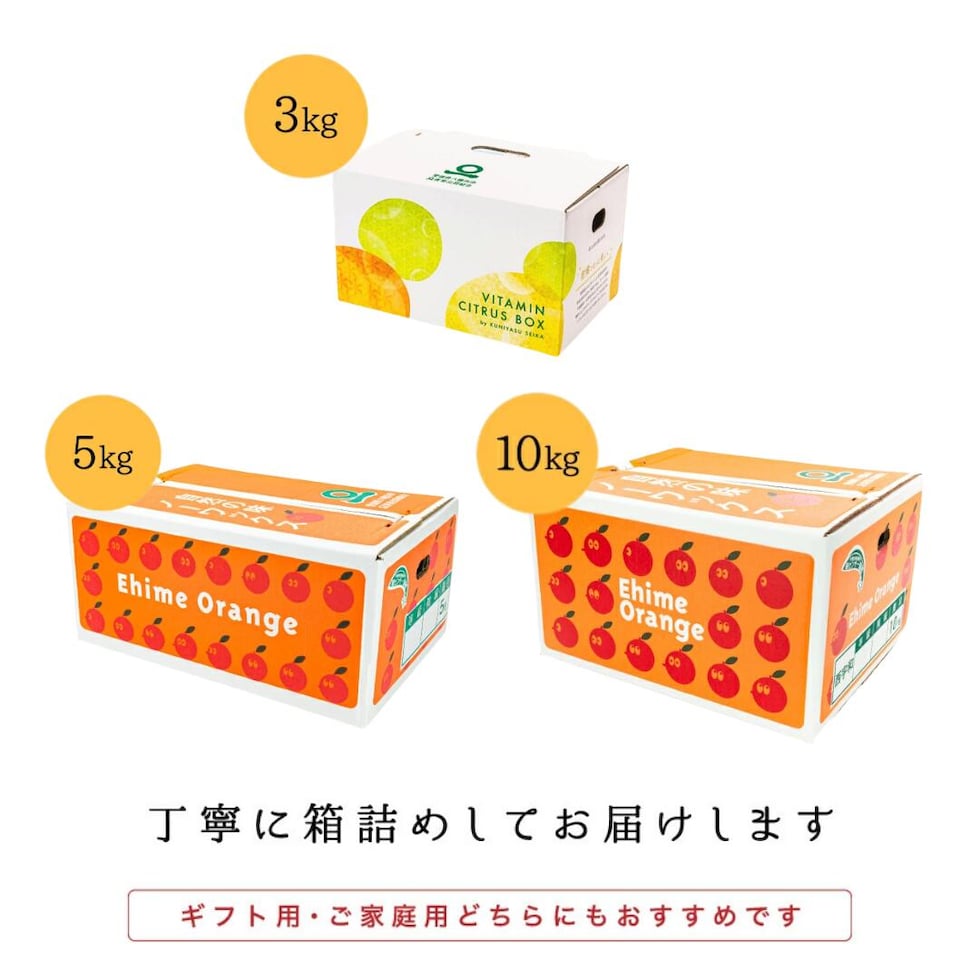 ファミリー用梱包