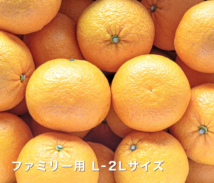 ファミリーイメージ