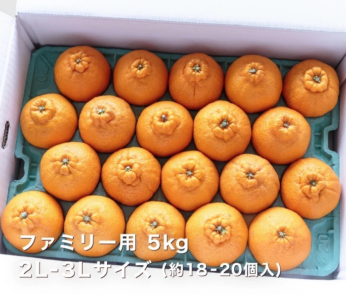 ファミリーデコくん5kgイメージ