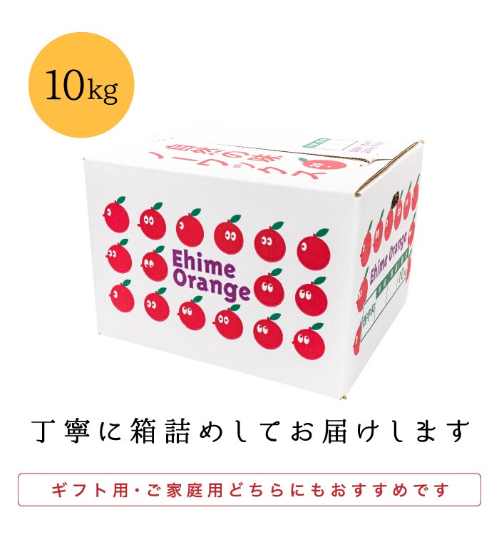 ファミリー愛媛はるか10kg