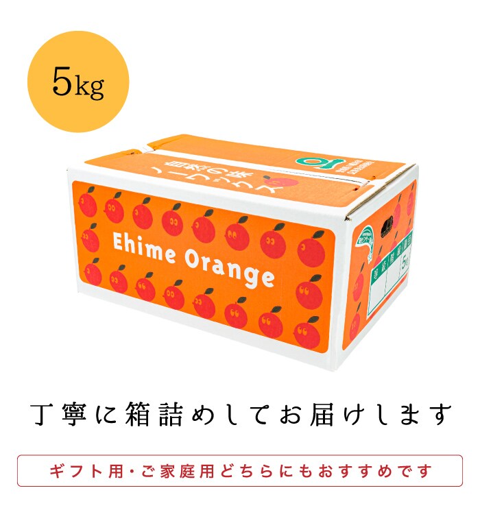 ファミリー愛媛はるか5kg