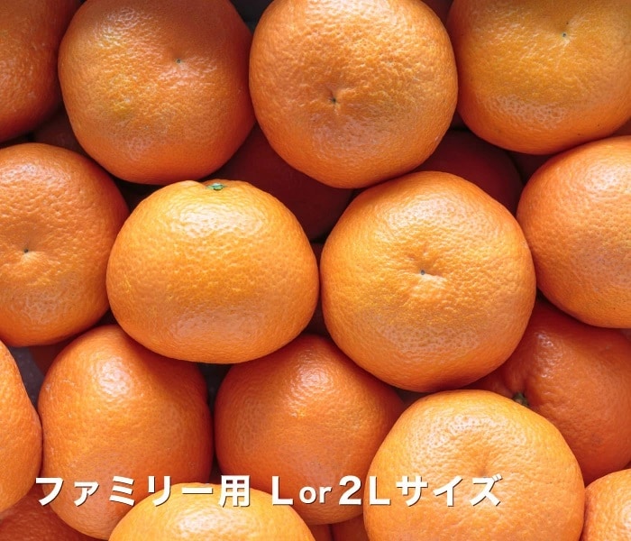 ファミリー用イメージ