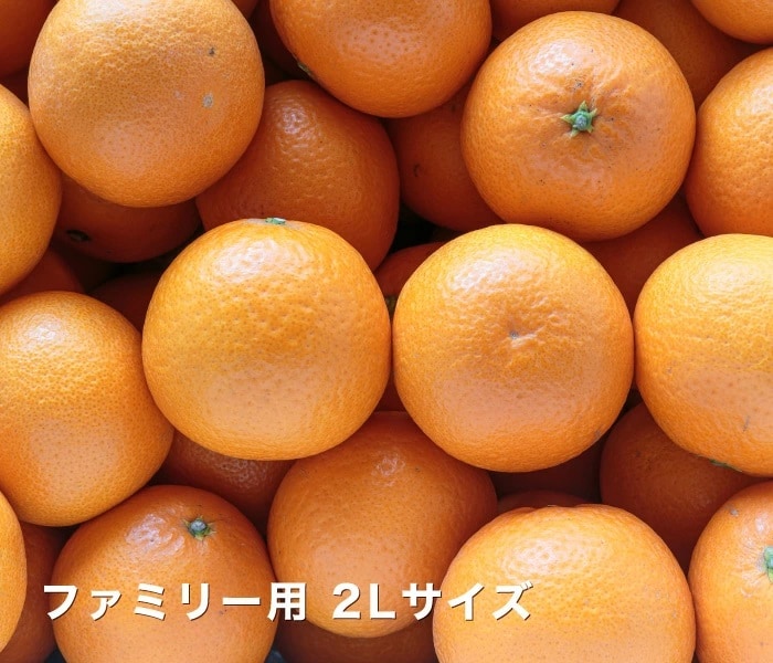 ファミリー用イメージ