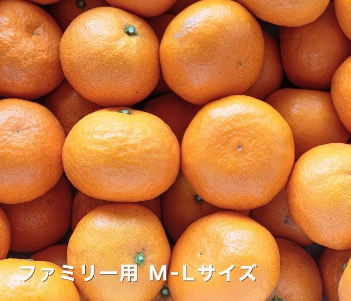 ファミリー用なつみイメージ