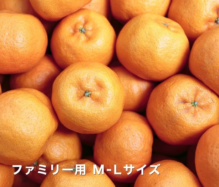 ファミリー用イメージ