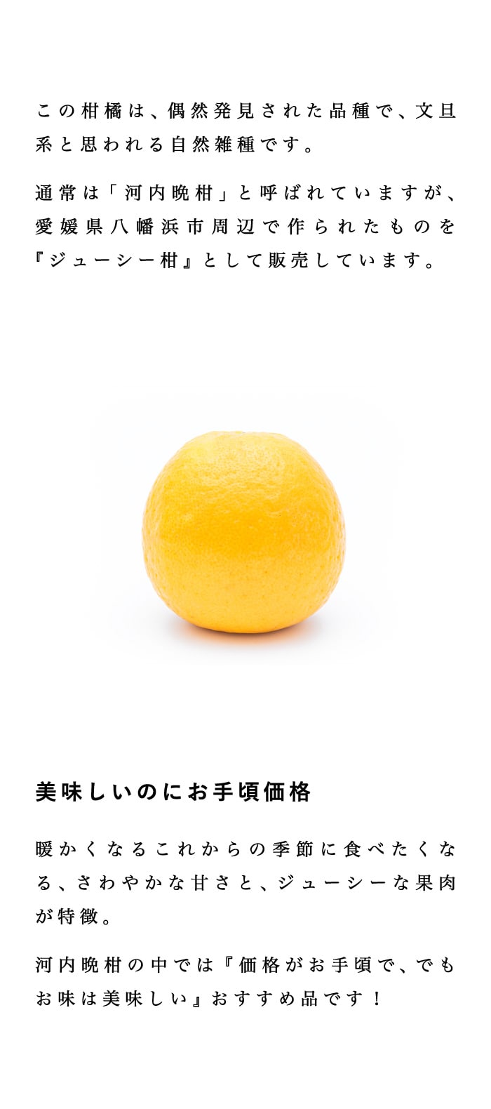 ジューシー柑説明
