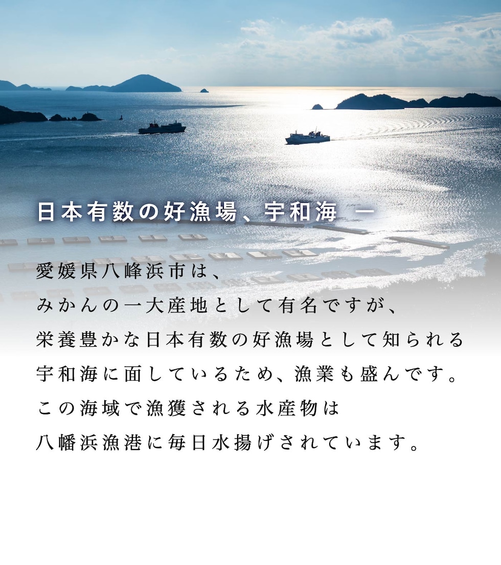 宇和海