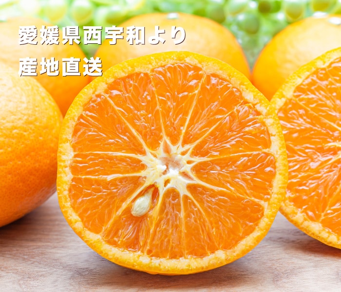 愛媛西宇和産なつみイメージ