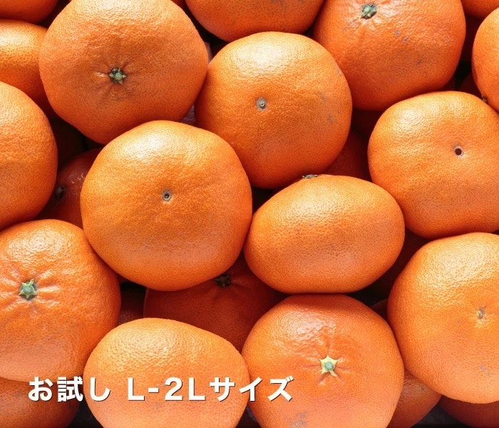 お試し甘平イメージ