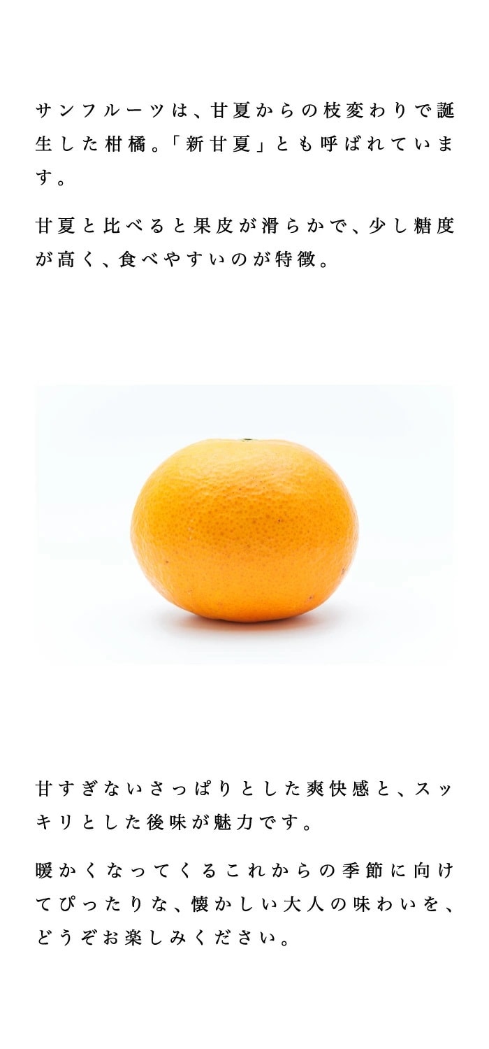 説明