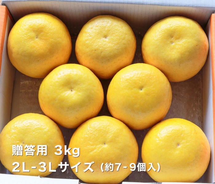 贈答用ナダオレンジ3kg