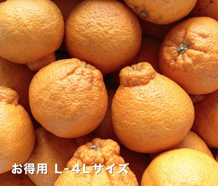 お得用デコくんイメージ