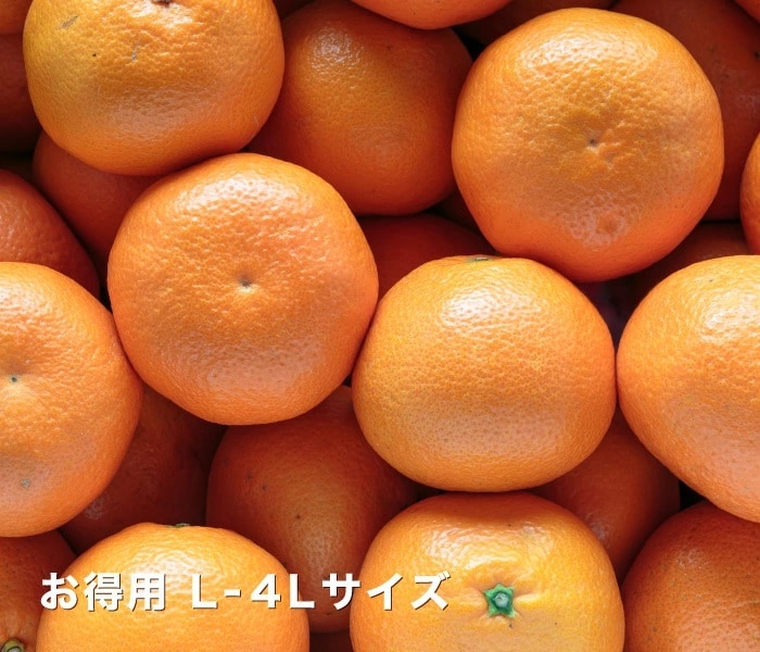 お得用イメージ