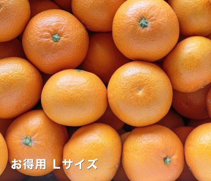 お得用イメージ