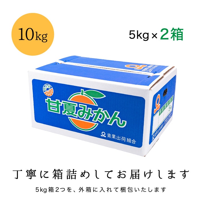 梱包