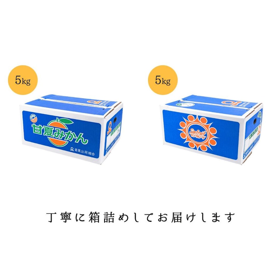 梱包