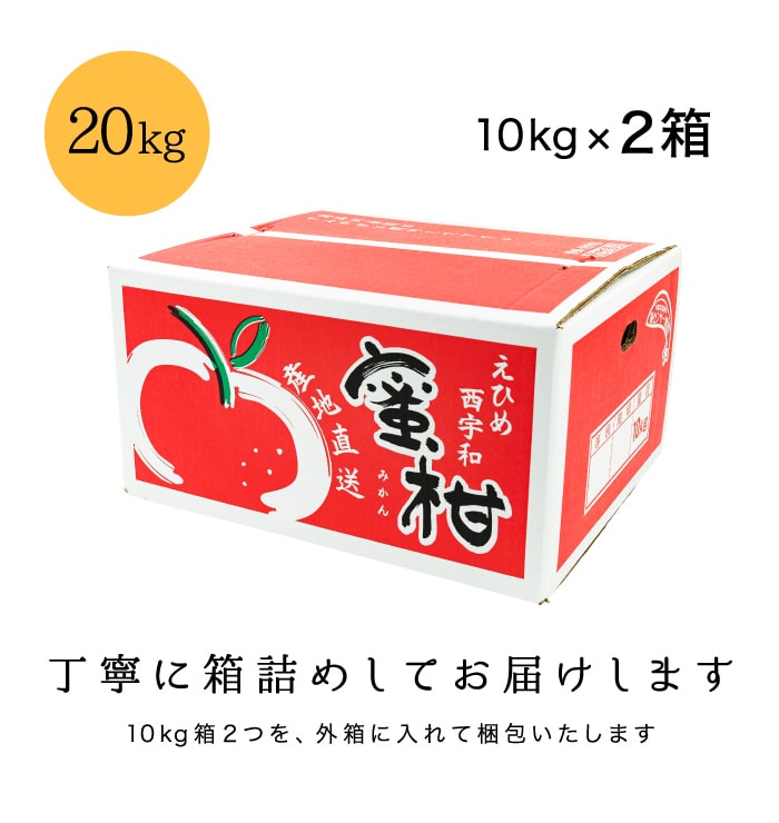 梱包イメージ