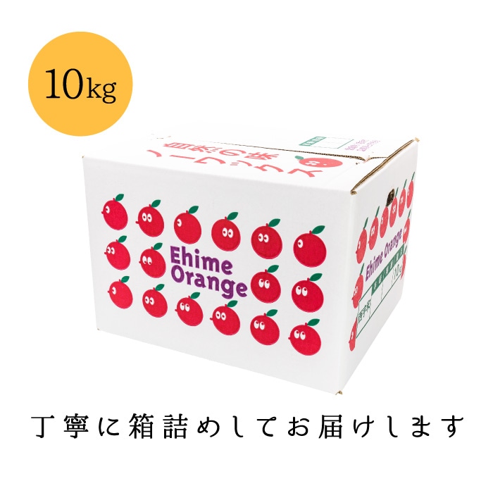 訳あり10kg