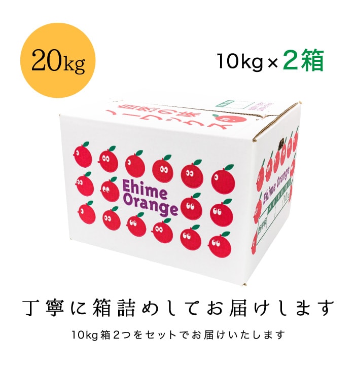 訳あり20kg