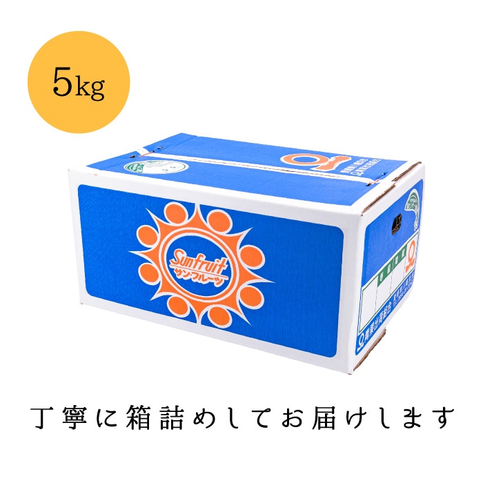 訳あり5kg