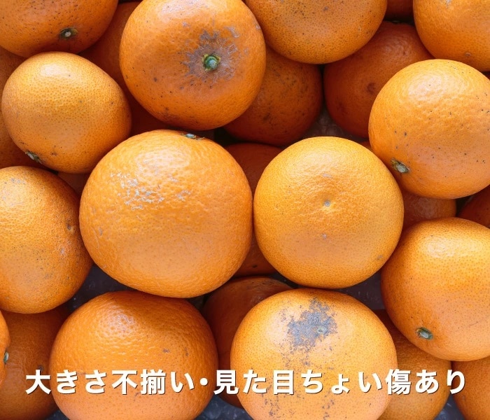 訳ありイメージ