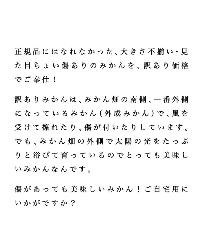 訳ありみかんについて