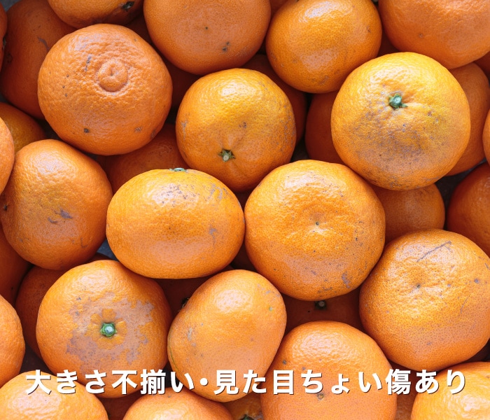 訳ありなつみイメージ