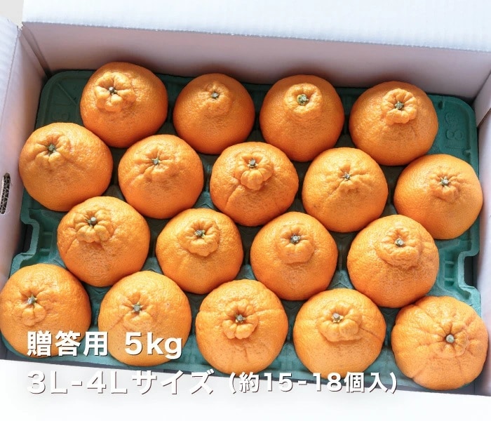 贈答用デコくん5kgイメージ