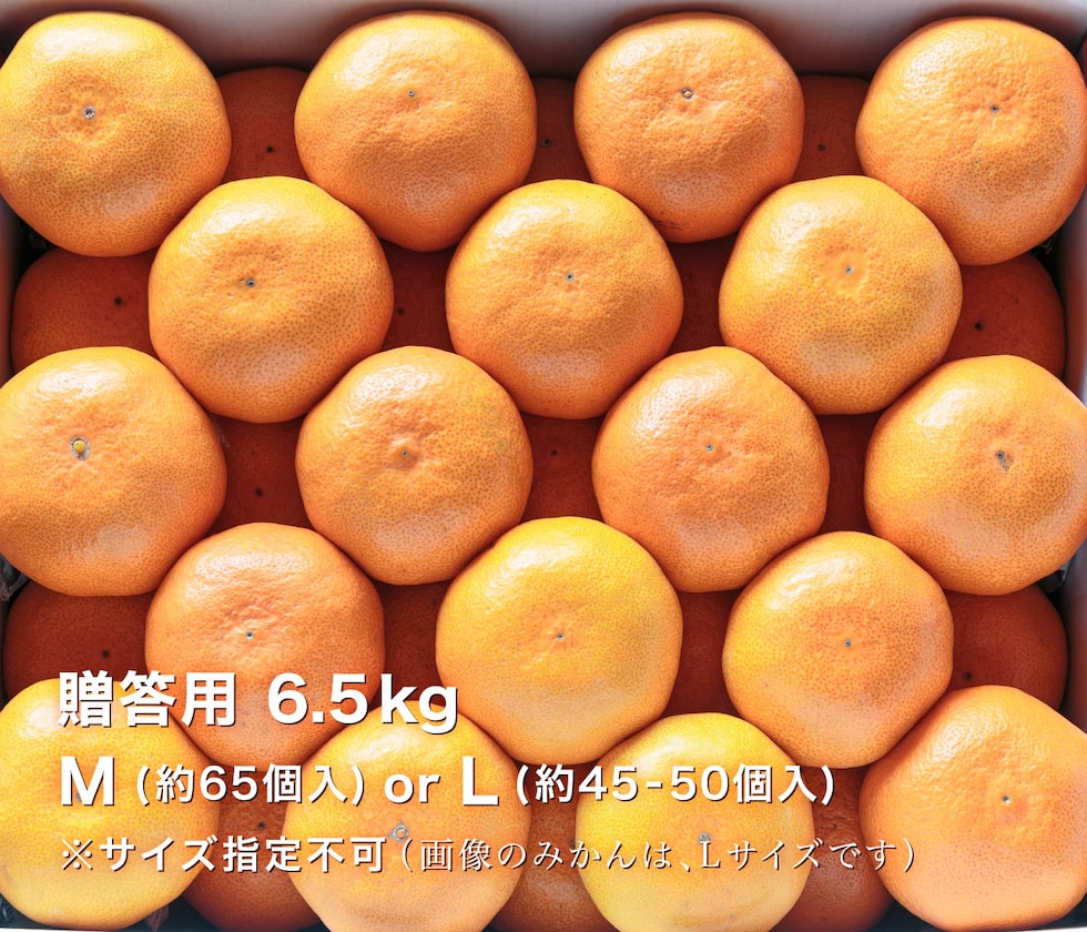 贈答用極早生みかん6.5kg