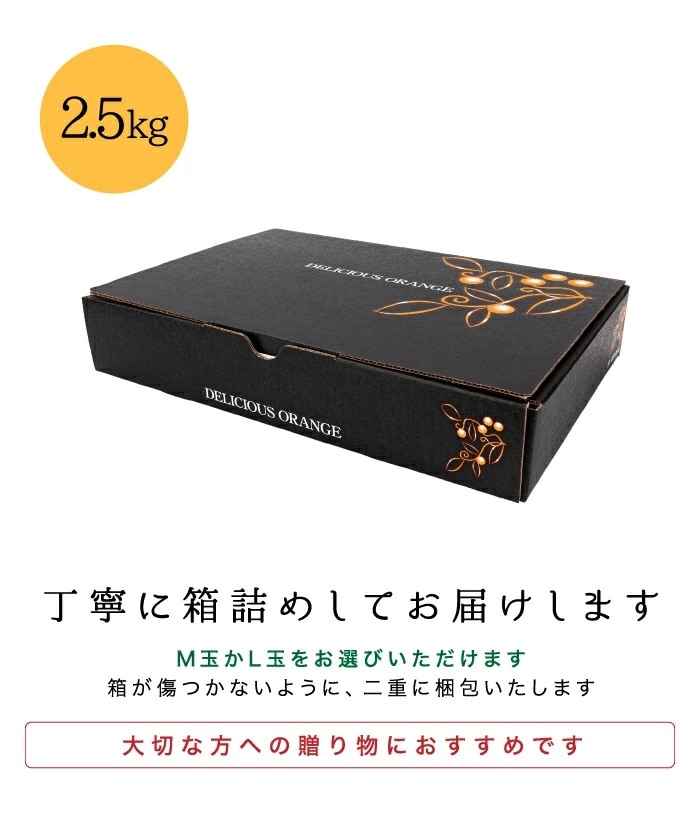 梱包イメージ