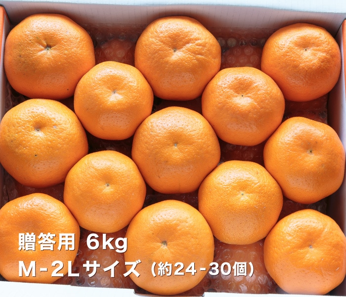 贈答はるみ6kg