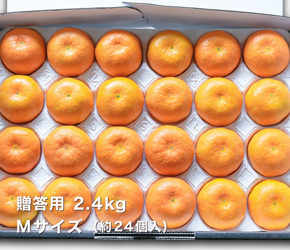 贈答用温室みかんM2.4kg