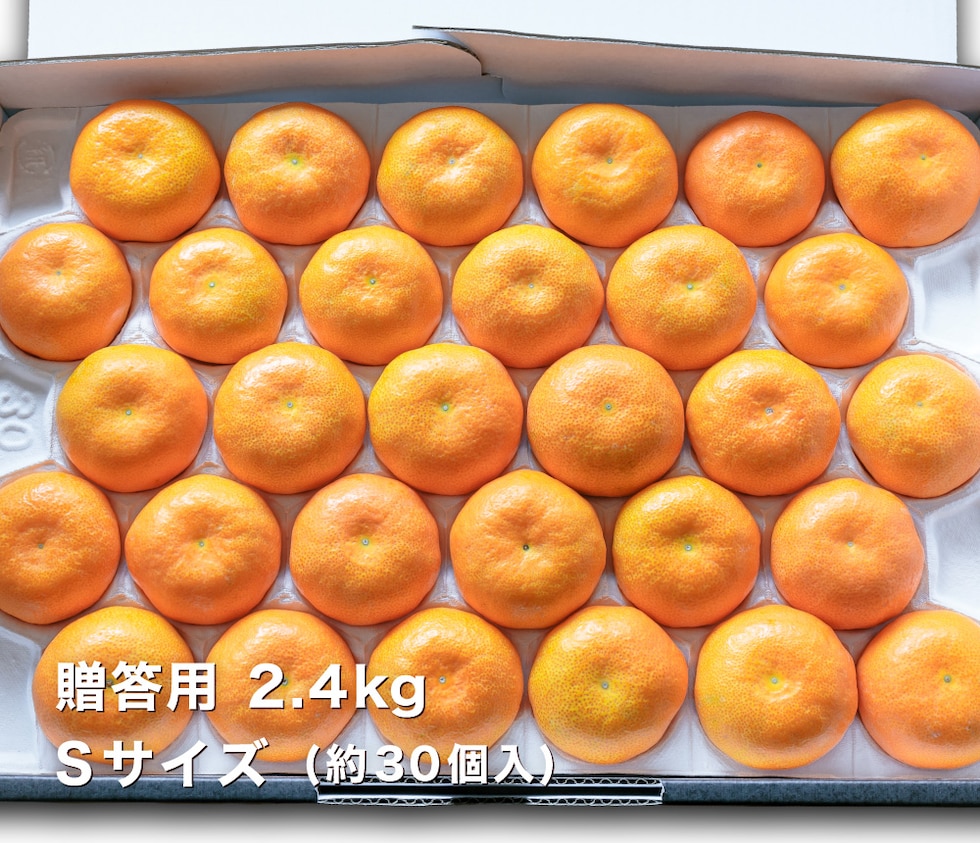 贈答用温室みかんS2.4kg
