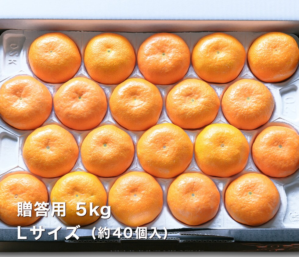 贈答用温室みかんL5kg
