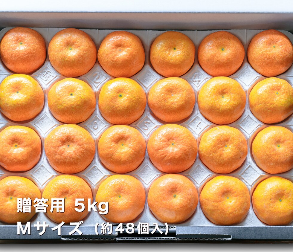 贈答用温室みかんM5kg