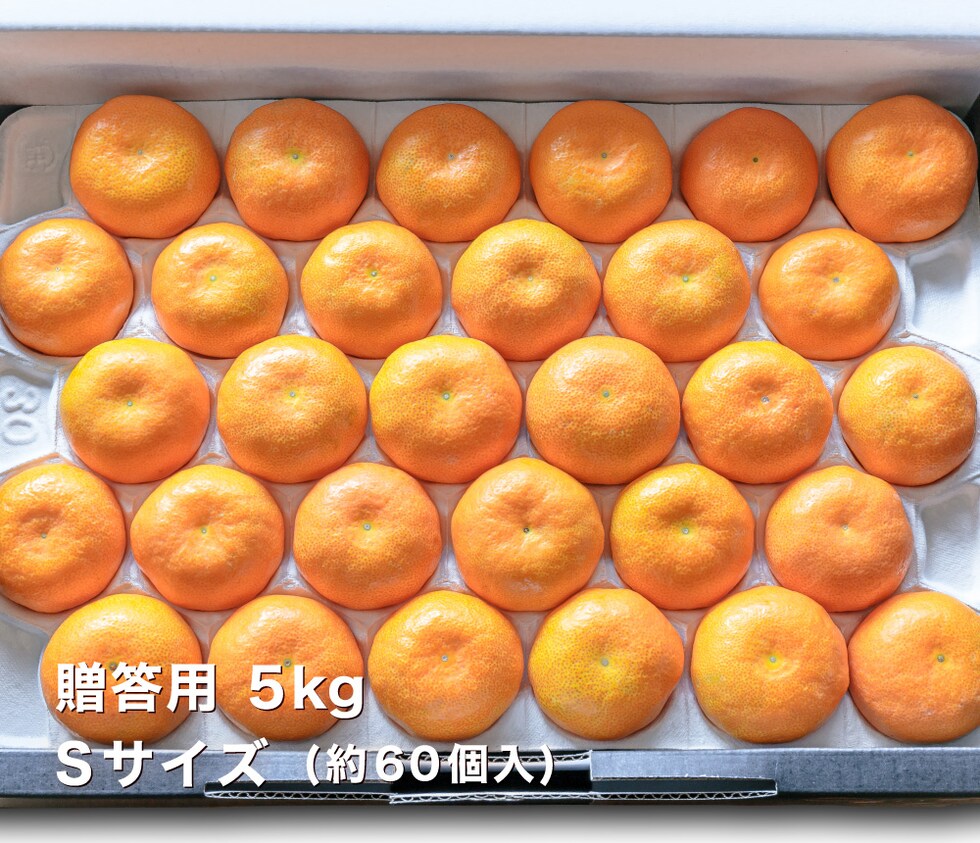 贈答用温室みかんS5kg