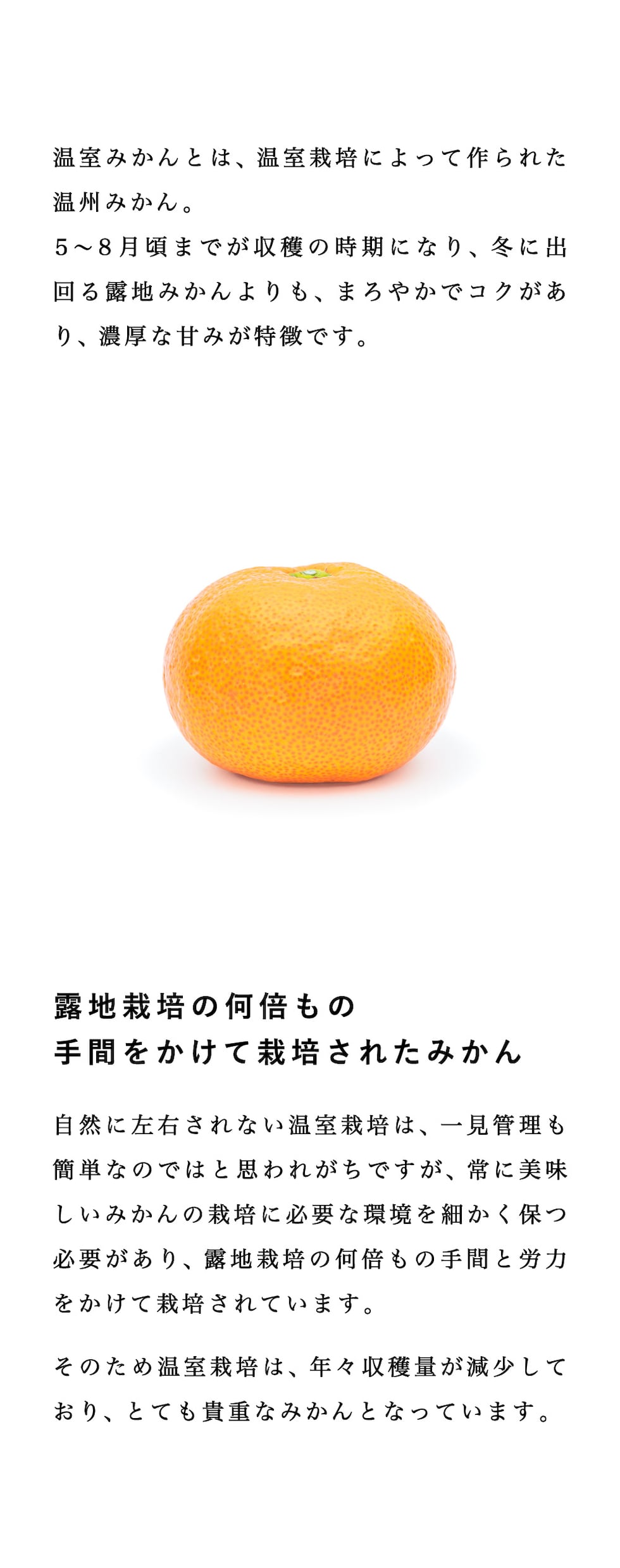 説明
