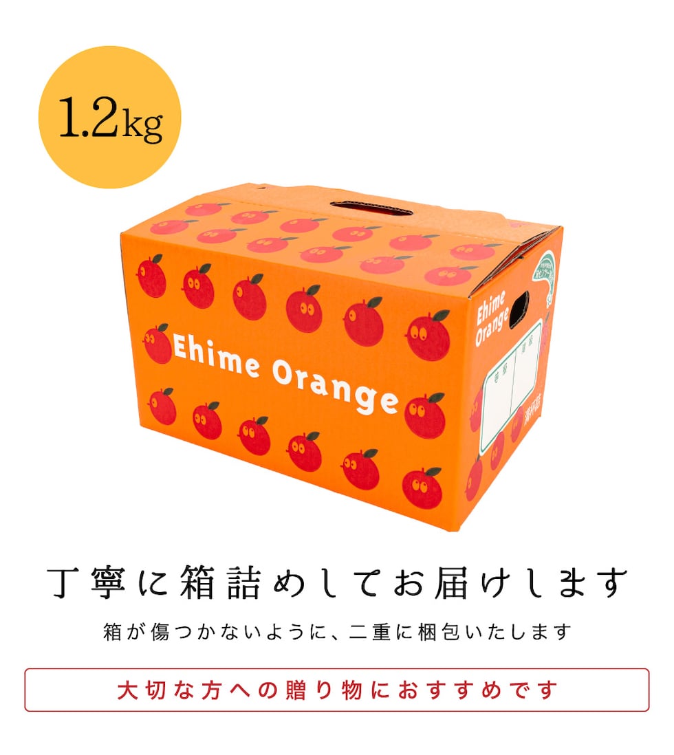 1.2kg梱包
