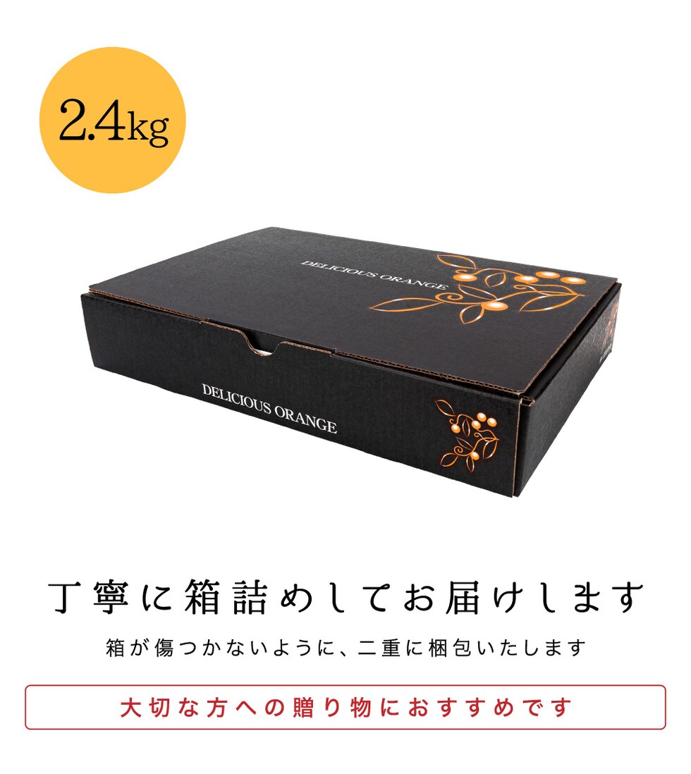 2.4kg梱包
