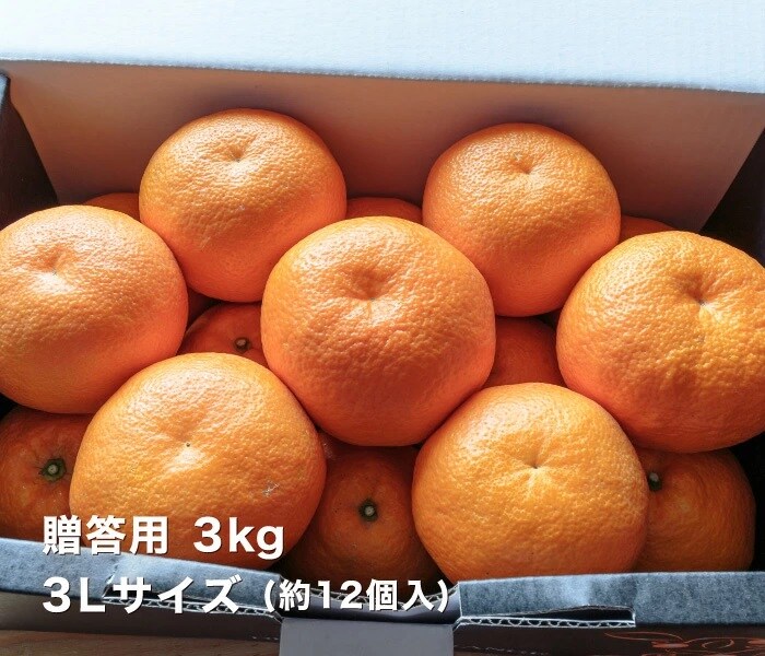 贈答用3kgイメージ